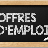 Technicien / Technicienne de maintenance en chauffage confirmé.